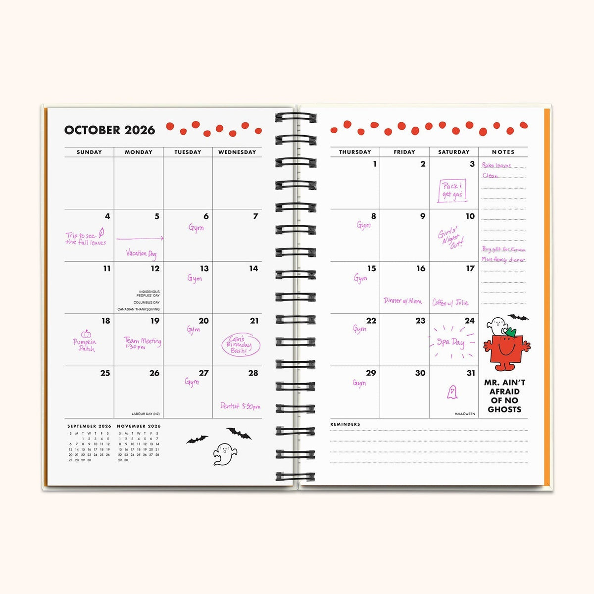 Mr. Positive x Studio Oh! 2026 Thinking Chenille Patch Planner