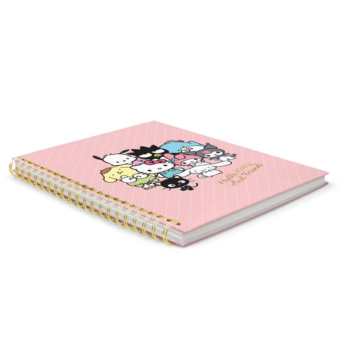 Hello Kitty and Friends x Studio Oh! Pink Pinstripe Extra-Large Spiral Notebook