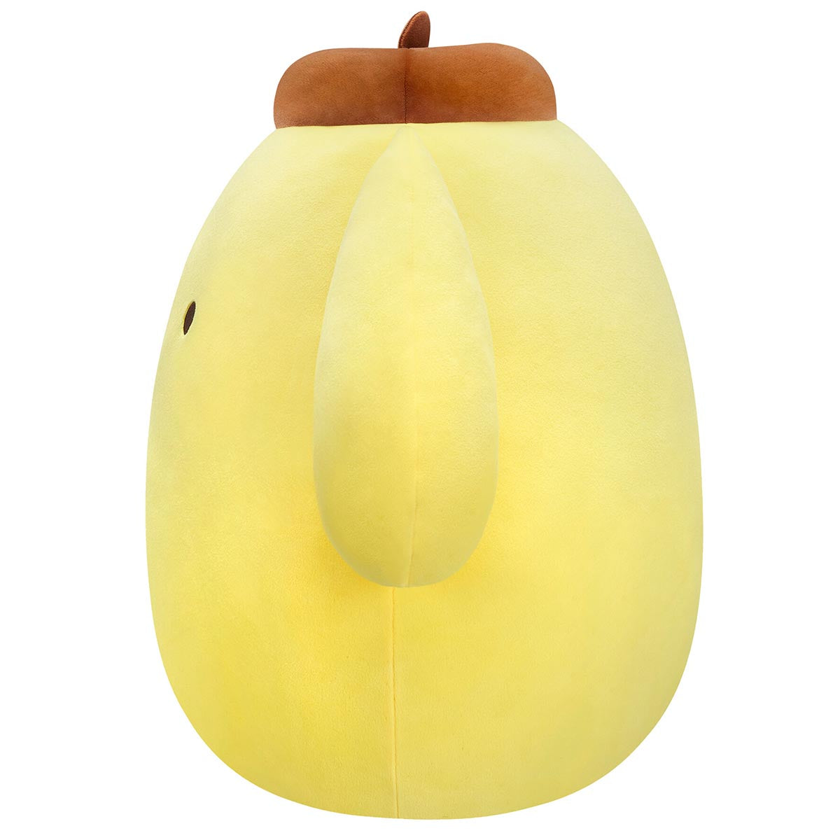 Pompompurin 14&quot; Squishmallows Plush