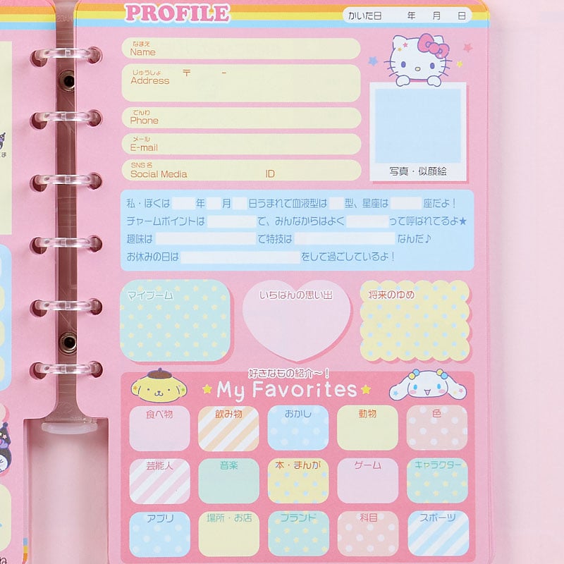 Sanrio Characters Mini Profile Binder Notebook (My Profile Series)