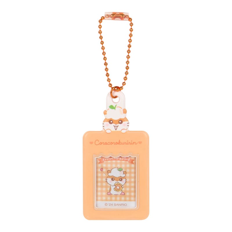 Sanrio Characters Mini Photo Charm Blind Bag (Enjoy Idol Series 1)